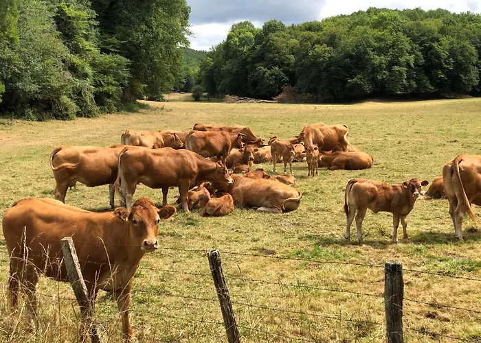 - Les Pierres D'alexandre *